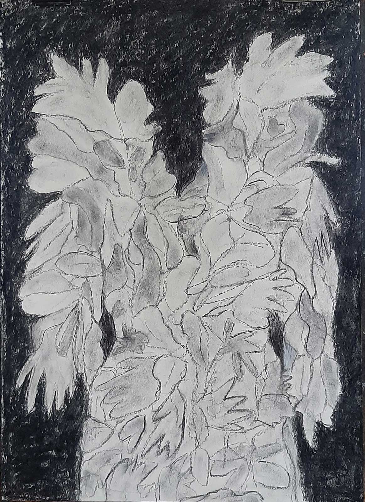 verenjurk, houtskool tekening