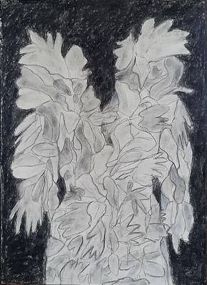 Tekening van Nella Montfoort, verenjurk, houtskool