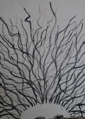 Tekening van Nella Montfoort, wortelkop, houtskool